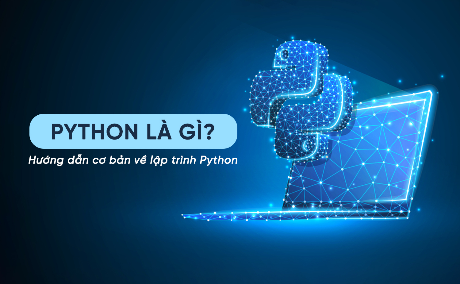 Python là gì? Hướng dẫn cơ bản về lập trình python